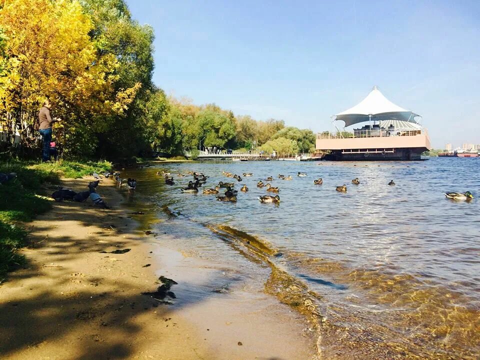 северный парк в тушино панорама. парк северное тушино. пкио северное тушино. парк северное тушино. северные парки москва.