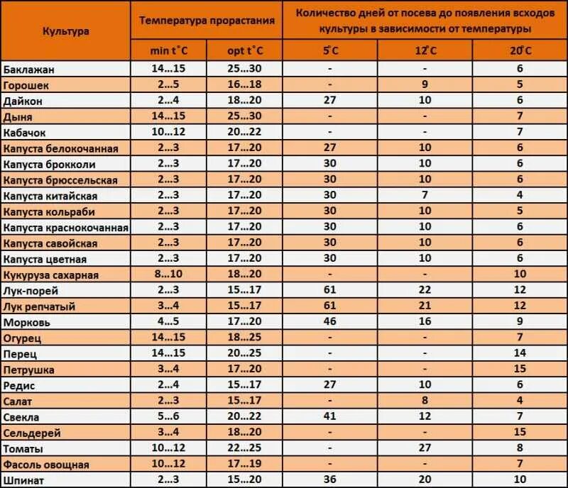 При какой температуре проращивают