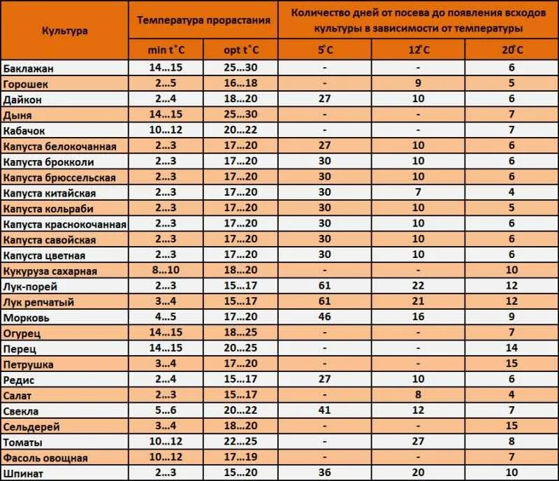 Через сколько дней всходит томат после посева. Оптимальная температура для прорастания семян. Сроки всхожести семян таблица. Температура прорастания семян таблица. Сроки прорастания семян таблица овощей.