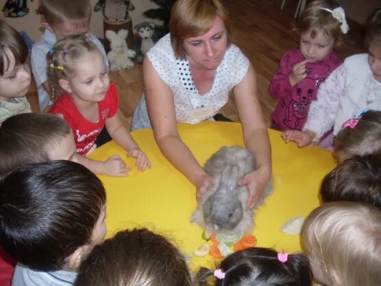 Сюрпризный момент в подготовительной группе. Сюрпризные моменты для дошкольников. Сюрпризный момент на занятии. Сюрпризный момент для детей в детском саду. Сюрпризный момент с детьми на занятии.