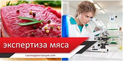 Санитарная экспертиза мяса