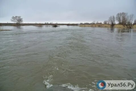 Оренбургская область река урал дамба