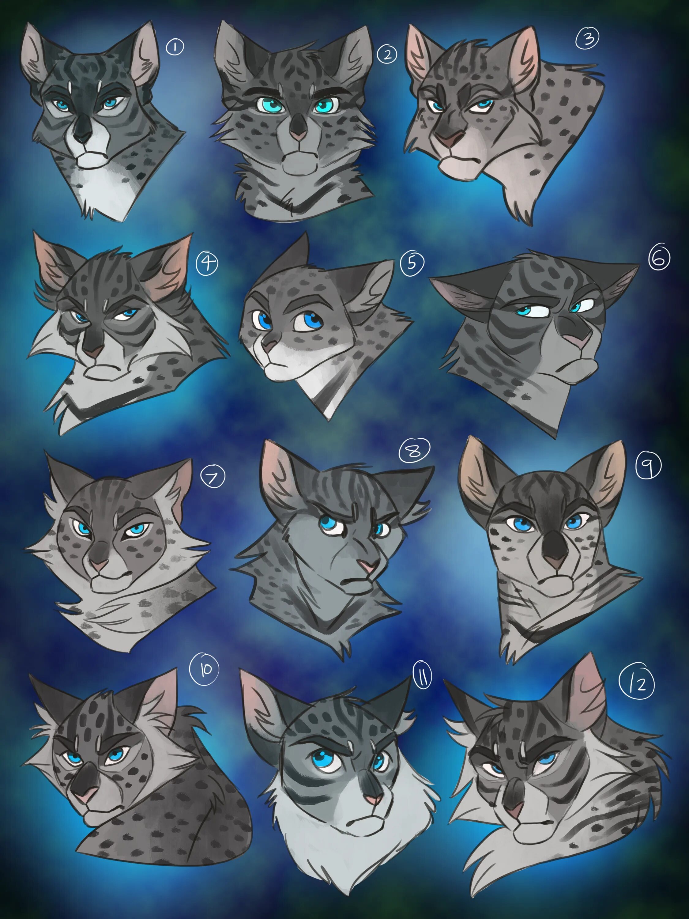 Cats tutorials