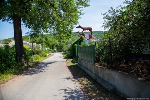 Погода жигулевск на 10 солнечная поляна