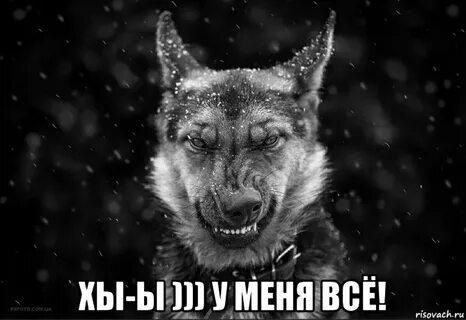 Хы