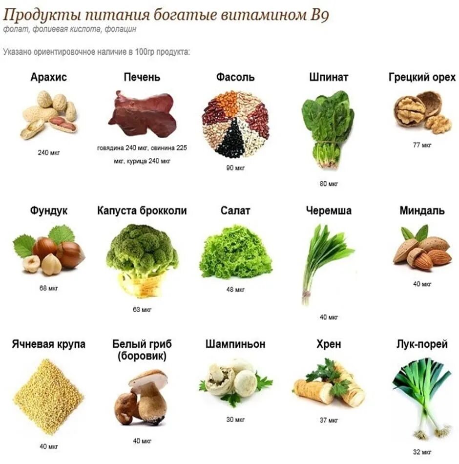 Железо витамин с и фолиевая кислота в9, в 12, в6. Витамин в12 продукты богатые витамином. Продукты богатые фолиевой кислотой витамином в6 и витамином в6. Продукты богатые витамином b12 таблица.