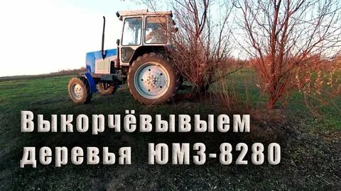 Выкорчивать