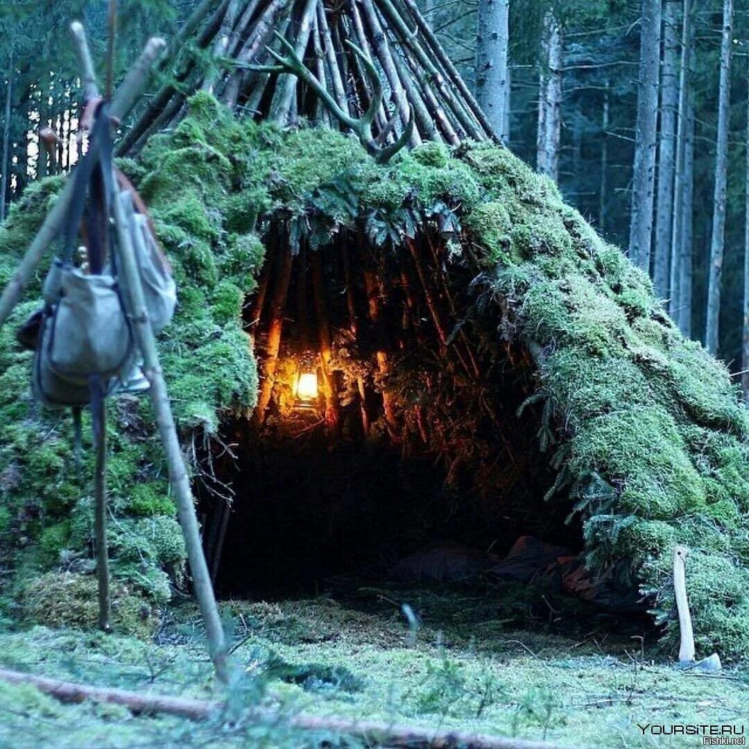 Что там делать в лесу