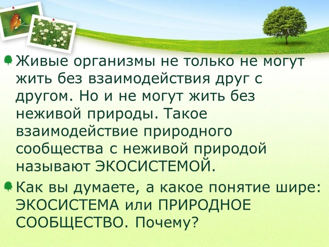 Взаимосвязи организмов в природных сообществах. Взаимосвязи в природном сообществе. Взаимоотношение организмов в природном сообществе. Организмы в природных сообществах 5 класс.