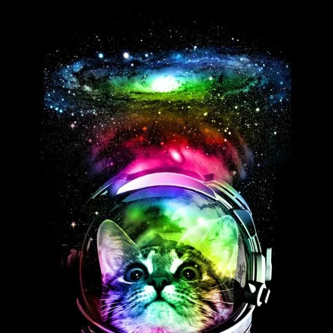 Space animals. Космический кот. Котик в космосе. Космический кот на аву. Кот в космосе ава.
