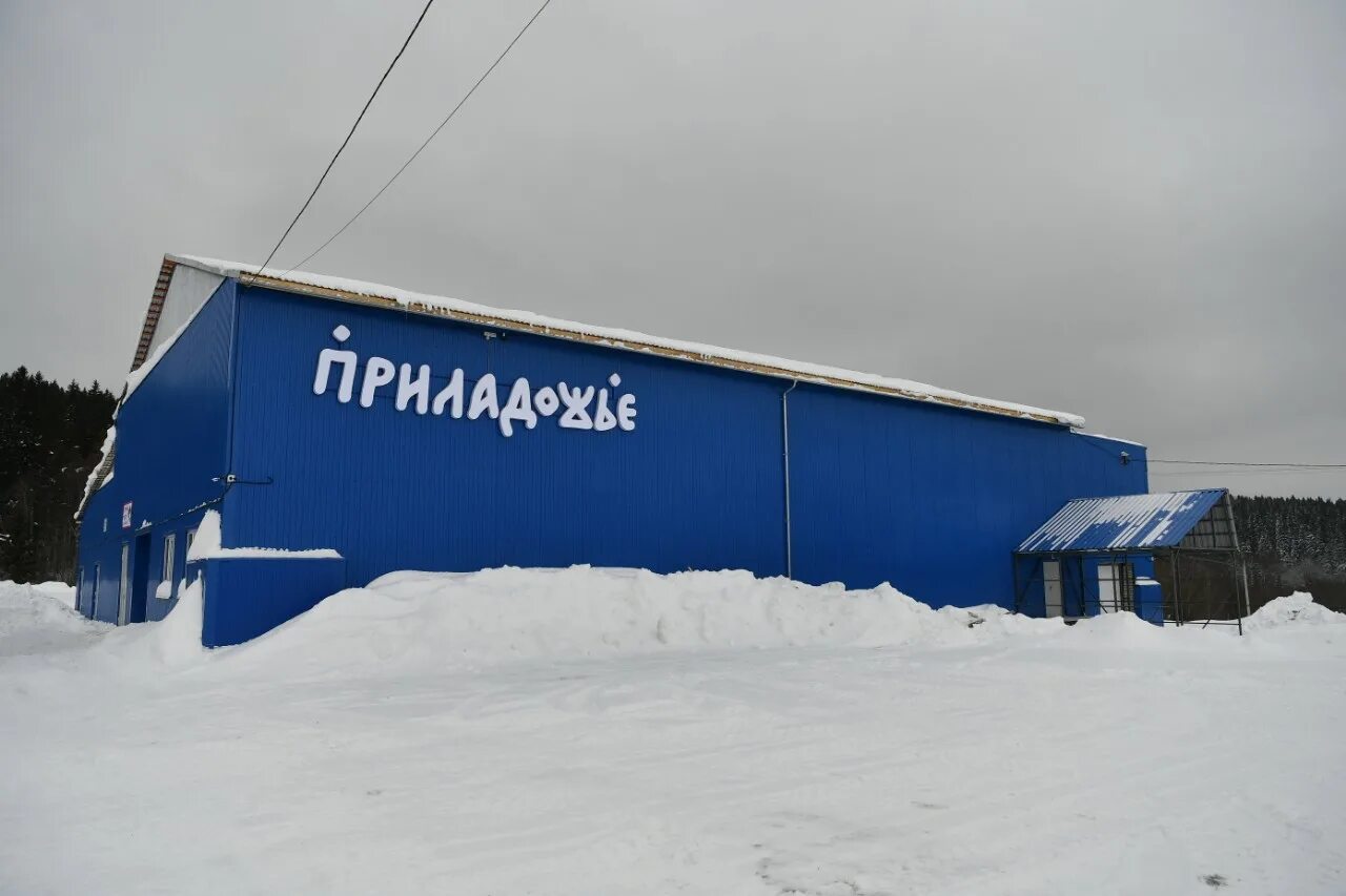 Приладожье форелевое хозяйство. Приладожье форелевое хозяйство рауталахти. форелевое хозяйство сортавала. кафе приладожье рауталахти. форелевое хозяйство приладожье кафе.