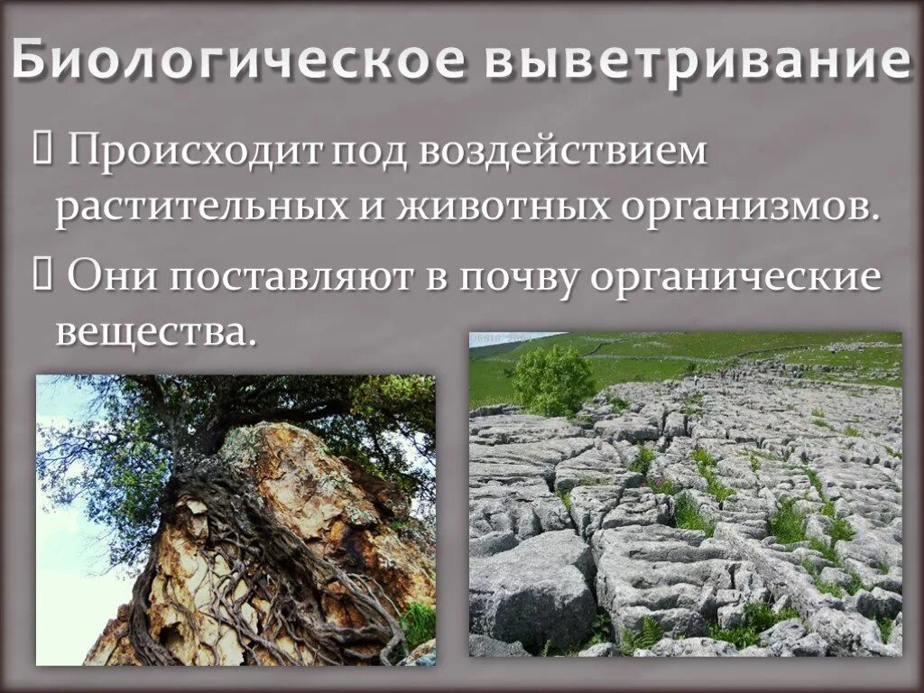 Под воздействием чего происходит