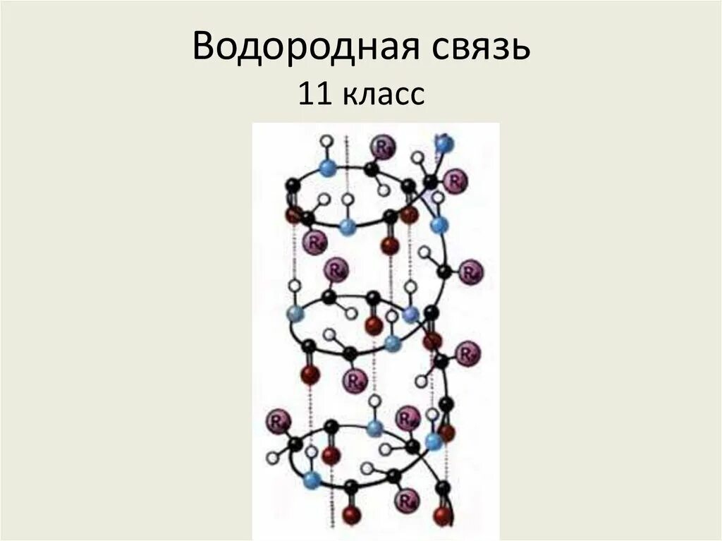Белково водородные связи. Внутримолекулярная водородная связь. Вторичная структура белка. Водородная связь внутримолекулярная связь. Водородная связь рисунок.