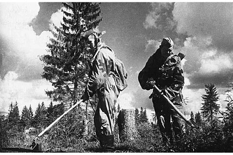 1 сентября 1944 года