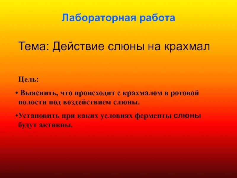Результаты изучения условий работы ферментов слюны. Лабораторная работа ферменты слюны. лабораторная работа действие слюны. лабораторная работа действие слюны на крахмал. что такое действие в лабораторной работе.