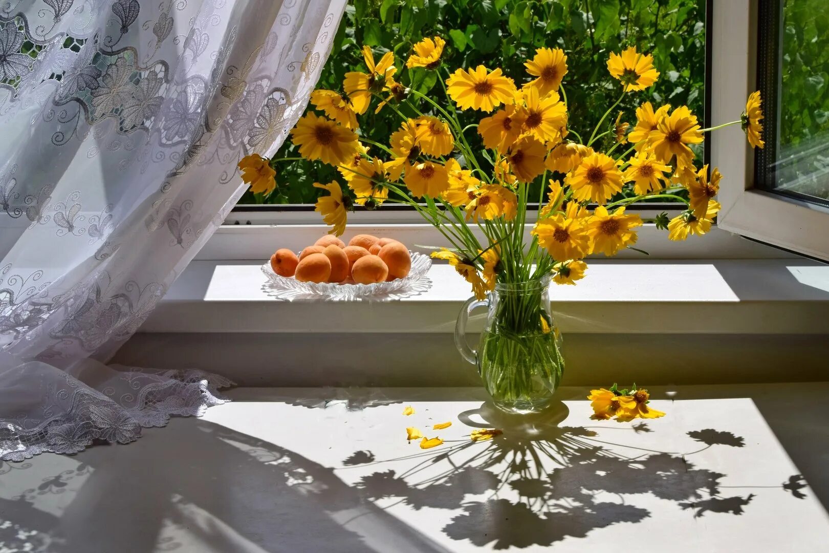 За окном светило солнышко. Подоконник с цветами. Букет на подоконнике. Цветы на окне. Весенние цветы на окне.