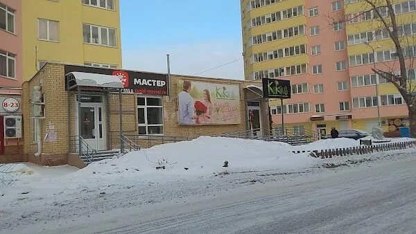 Пермь ул краснофлотская 11. Краснофлотская 11/1. Кактусы омск. Кактус notocactus scopa. Цереус перуанский монстрозная.