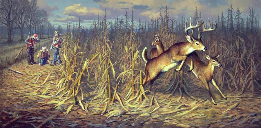 падеж слова виноградник. виноградник и олень басня. виноградник и олень басня. олень спрятался от охотников в виноградник разобрать. разбор как часть речи :сокол поймал зайца.