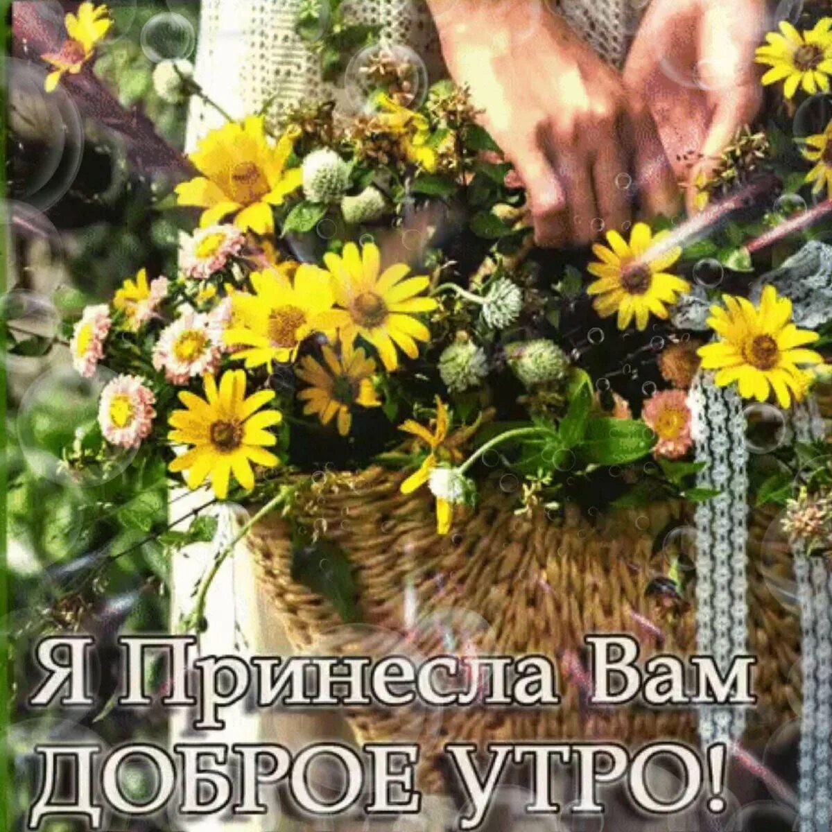 Доброго благословенного летнего дня. Доброго утра здоровья и добра. доброе утро здоровья вам. доброго вам утра. доброе утро здоровья вам и вашим близким.