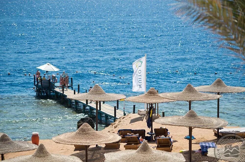 Отель шорес амфора шарм-эль-шейх. Otium family amphoras beach resort пляж. Отиум фэмили амфора шарм-эль-шейх. Otium family amphoras beach египет. Отиум амфора 5 шарм-эль-шейх.