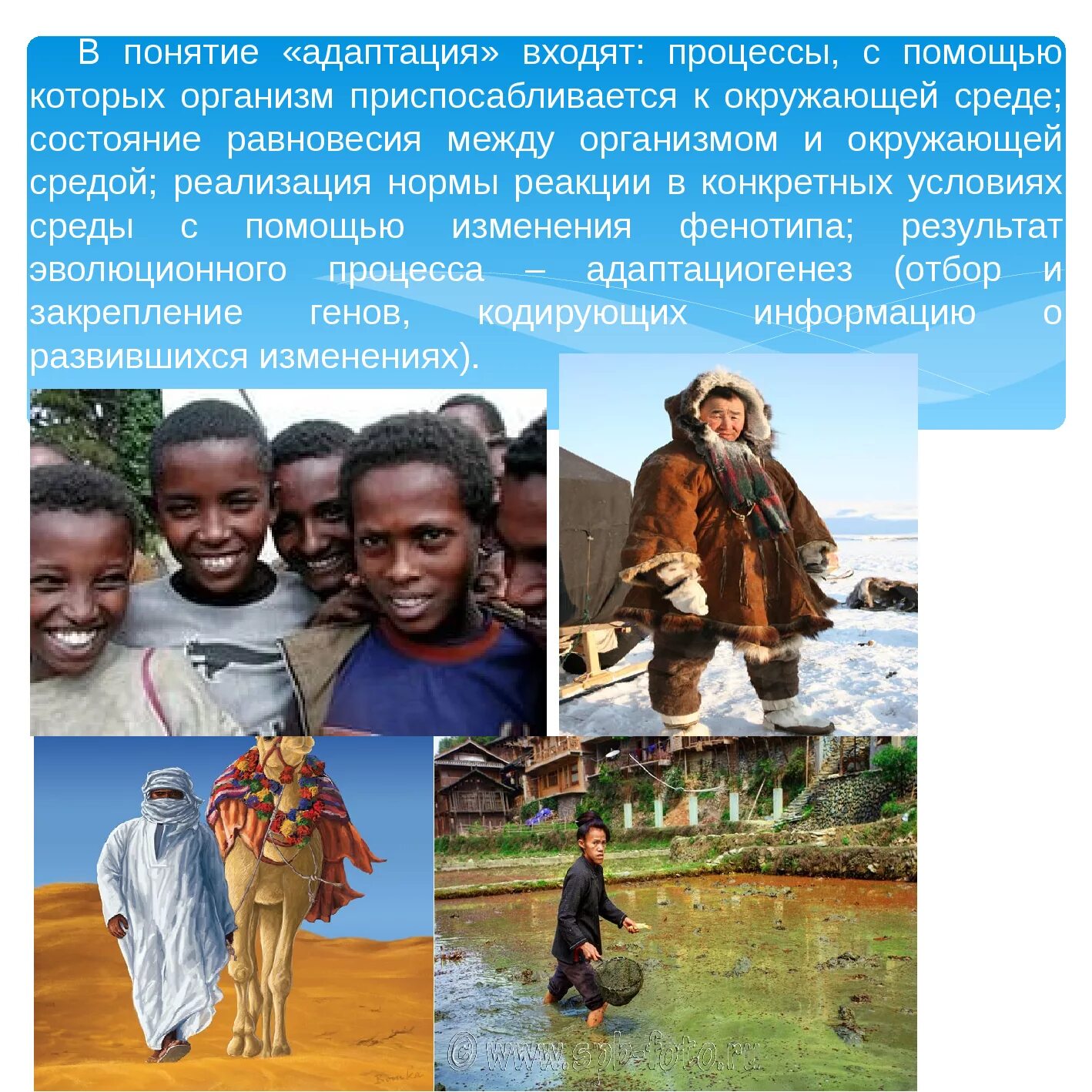 Акклиматизация на севере. Приспособление человека к климату. Приспособление человека к жизни. Приспособление человека к жизни. Приспособления человека к разным природным условиям.