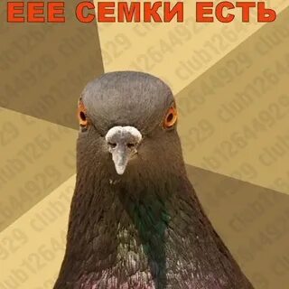 Да а тебе как