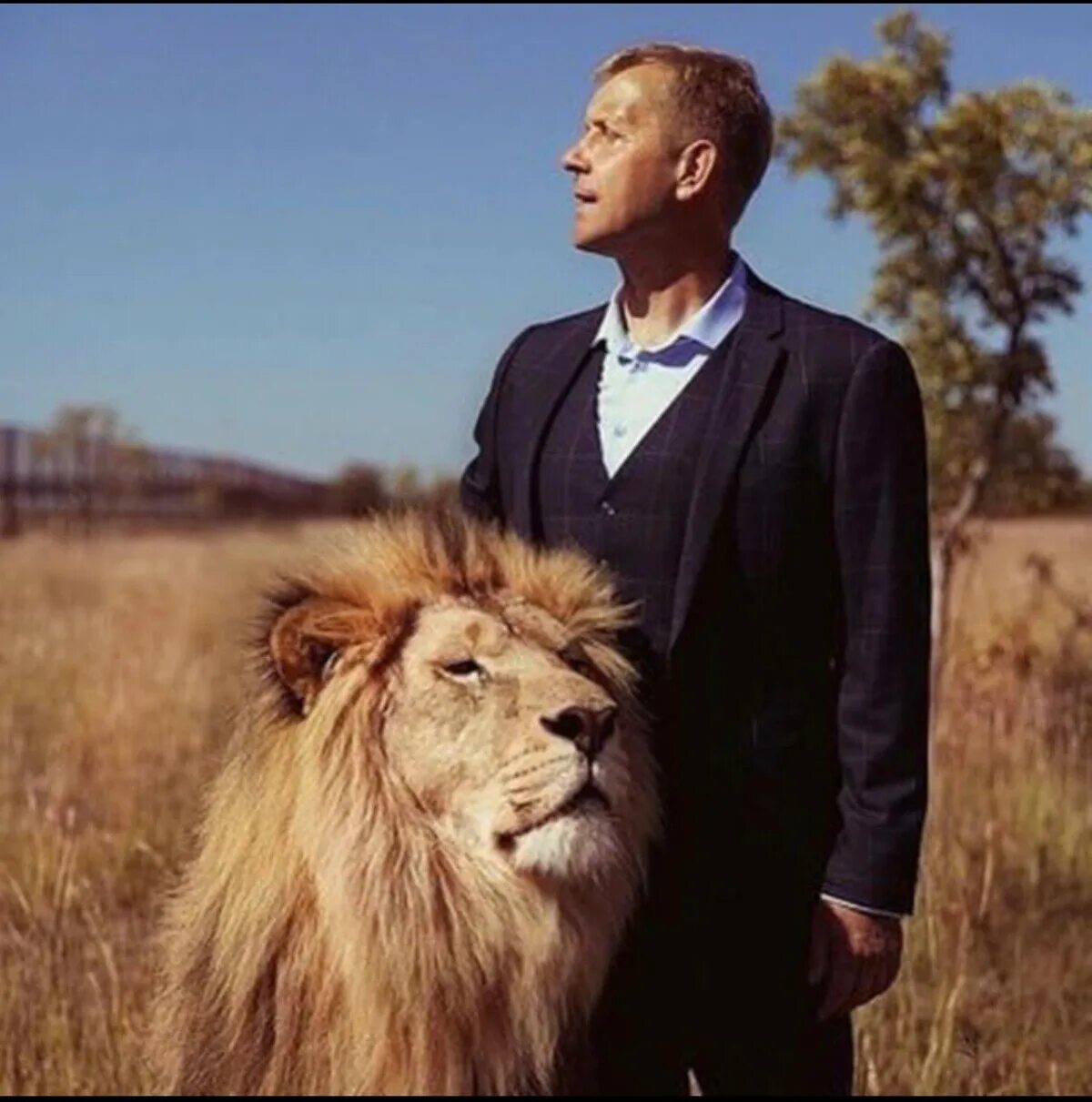 Пушистый лев. Лев фото для детей. Редактор лев. Редактор лев. Лев анфас.