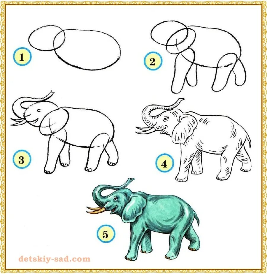 Конспект урока животные 1 класс. Слон поэтапное рисование для детей. Поэтапное рисование слона для дошкольников. Этапы рисования животных. Поэтапное рисование карандашом слона.