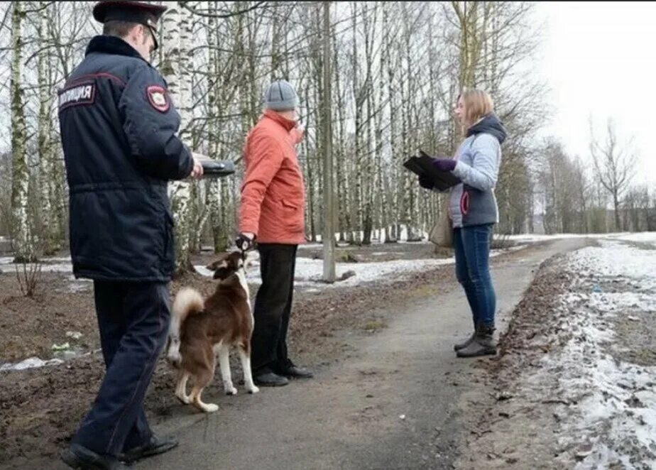 Собака гуляет без хозяина. Штраф за собаку. Выгул собак в неположенном месте. Собака с хозяином на улице. Штраф за домашних животных.