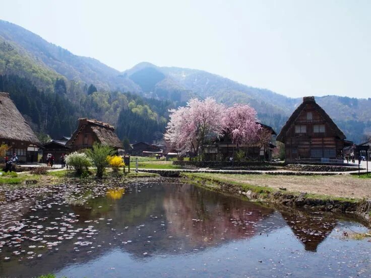 Японская деревня видео. Горная деревня в японии. деревня ширакава. застава сиракава. японская деревушка.