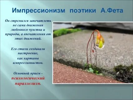 Черты импрессионизма фета