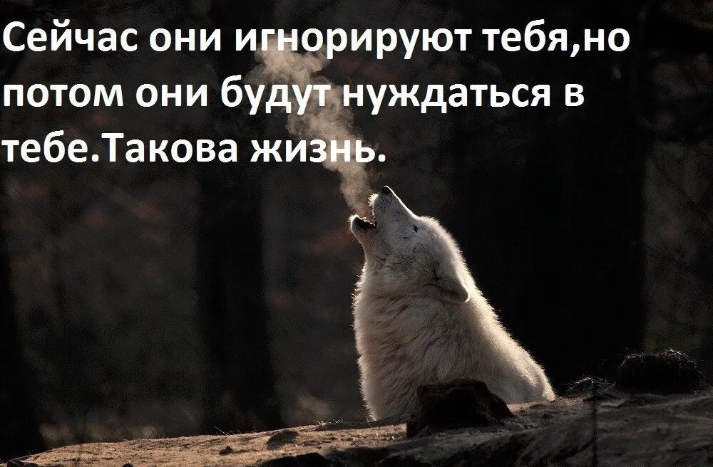 Они мне как всем