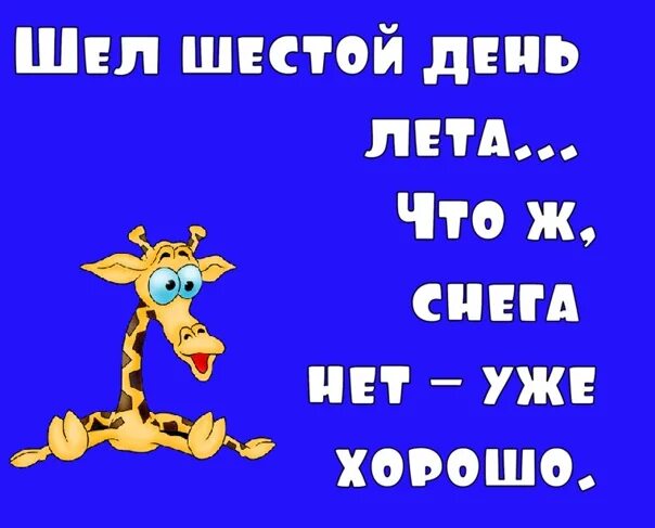 6 идет