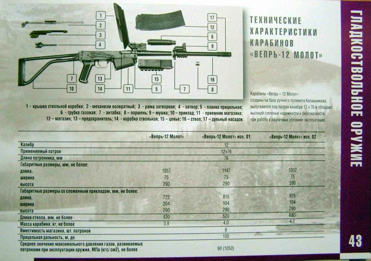 Вепрь какую длину ствола. Дальность стрельбы карабина вепрь 308. карабин вепрь размеры. вепрь 308 длина ствола. карабин вепрь-12 размеры.