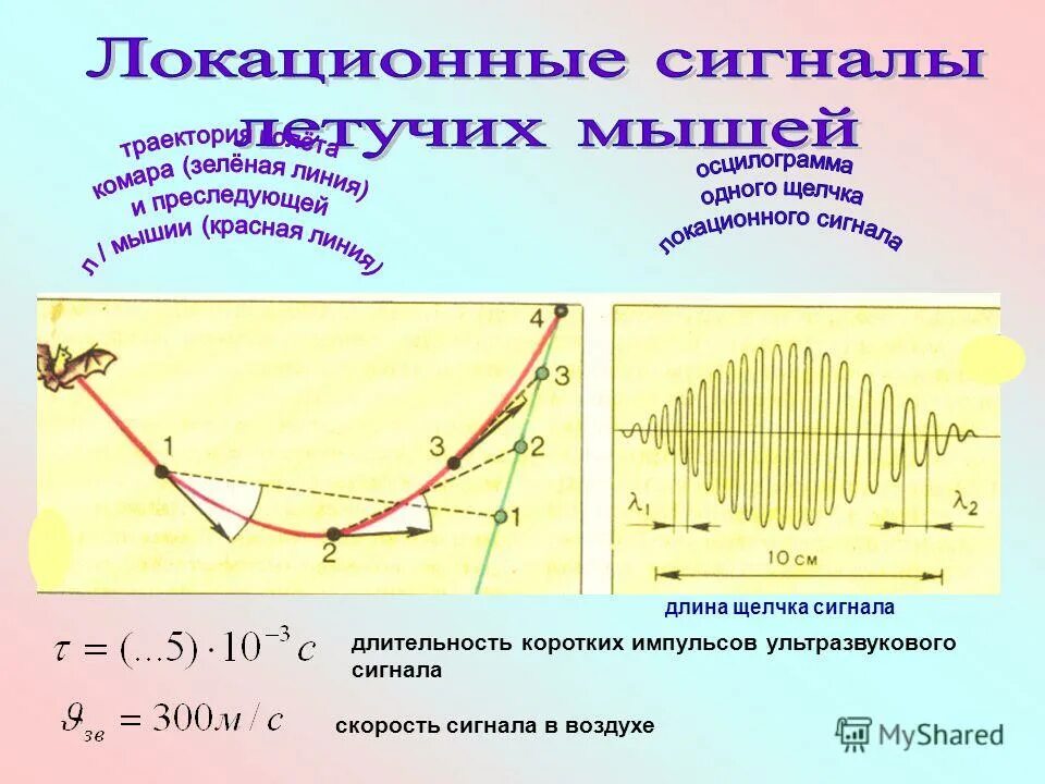 Длительность ультразвукового импульса. Ультразвук как упругие волны. Скорость ультразвукового сигнала формула. Скорость инфразвука в воздухе. Какие волны имеют максимальную частоту