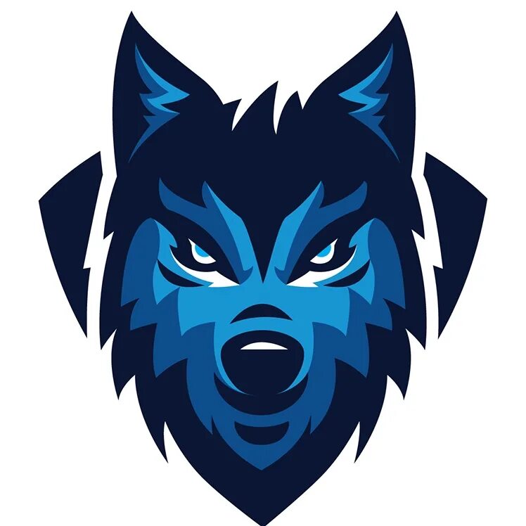 Fox cs go