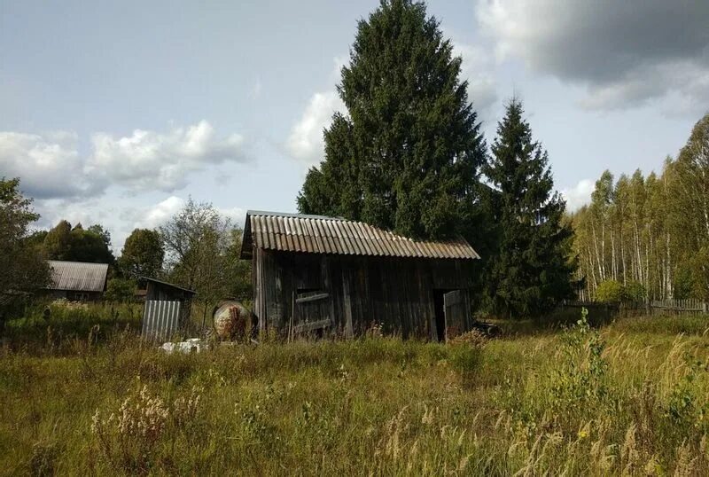 Елинки. 40 соток. Байденка. Деревня байденки. Байденки.