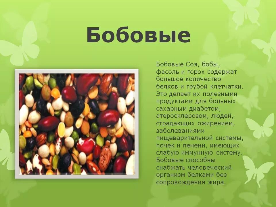 Семена бобовых содержат много. Разновидности бобовых. Зернобобовые культуры для дошкольников. Зернобобовыевые культуры презентация. Разновидности бобовых культур.