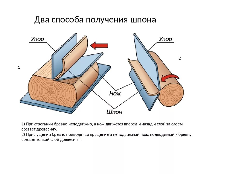 И изготавливается в виде. Схема производства строганного шпона. Шпон способы получения шпона. Схема строгания шпона. Схема лущения шпона.