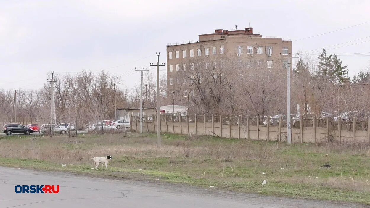 Психиатрическая больница орск