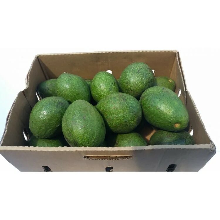 Боксы авокадо с авокадо. Avocado box. Avocado box. Авокадо бокс. Avocado box.
