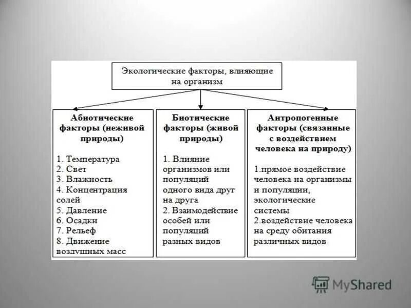 Влияние факторов среды обитания на организмы. Влияние факторов среды обитания на организмы