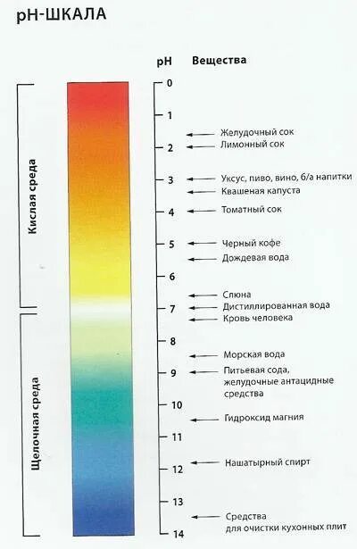 Рн кислотности желудка. РН кислотность шкала. Шкала кислотности PH желудка. Шкала кислотности PH воды. Шкала уровня ПШ.