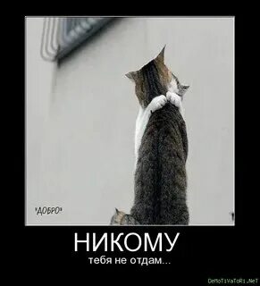 Она одна никому не отдам