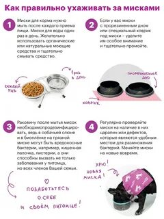 Выбрать миску