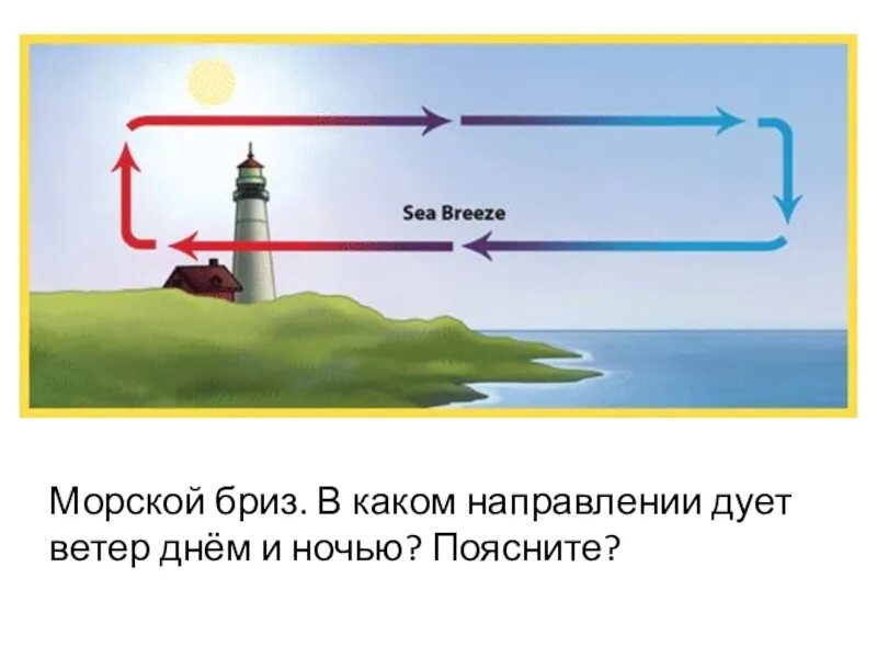 Дуют ночью и днем. Ветер схема. Конвекция Бриз. В каком направлении дует ветер. Бриз днем и ночью.