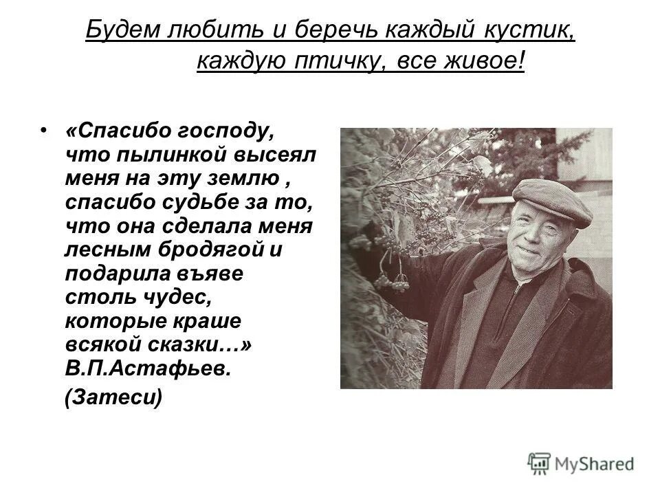 «Затеси» в.п. Астафьева. Астафьев Затеси все произведения. Рассказы в п Астафьева.