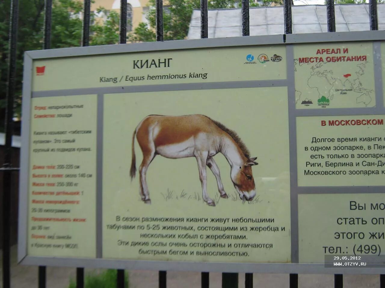 Московский зоопарк входной билет