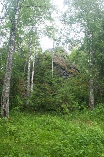 Царицына гора тосненский район. Царицына гора. Гора колпаки пермский край легенды. Царицына гора. Царицына гора в шапках.