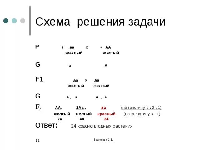 Решение задач по генетике 10 класс биология. Схема решения задач по биологии генетика. Схема решения задач на генетику. Схема оформления задач по генетике. Схема решения генетических задач по биологии.